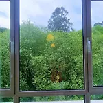 El Pisin De Nicolas