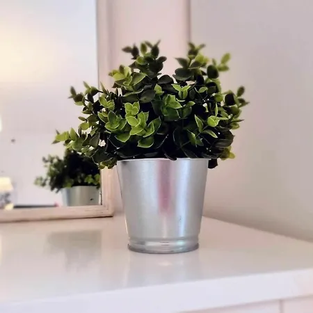 El Pisin De Nicolas Apartmán